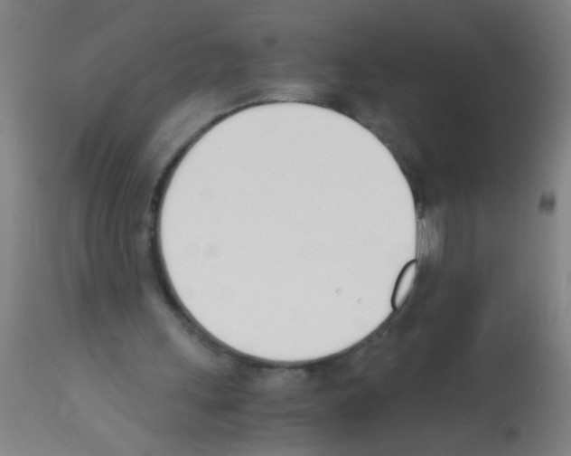 X0000113170243200910161314