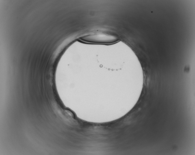 X0000113170244200910161314