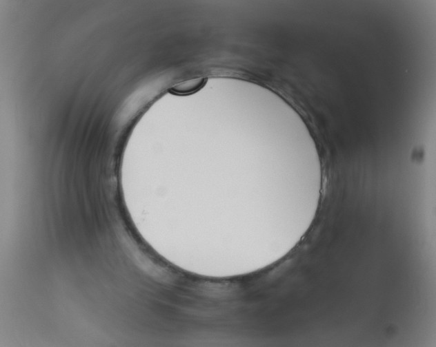 X0000113170245200910161314