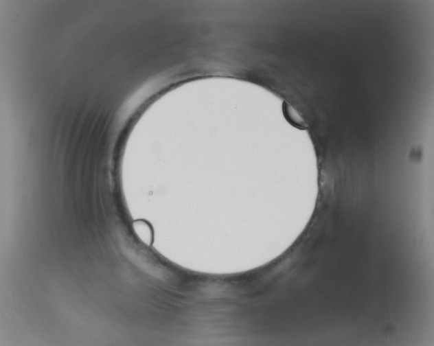 X0000113170246200910161314