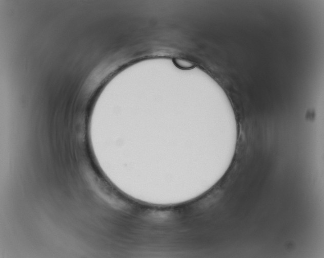 X0000113170247200910161314