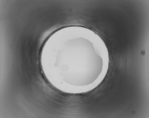 X0000113170248200910161314