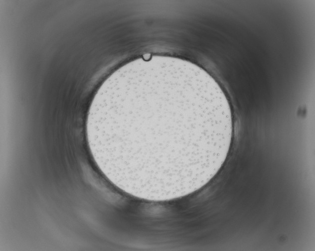 X0000113170249200910161314