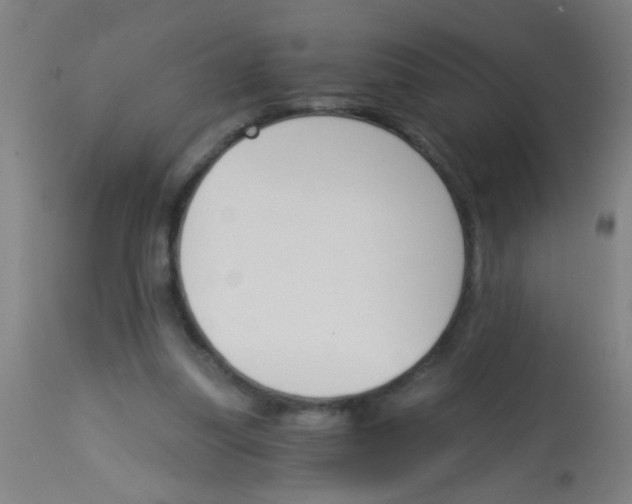 X0000113170251200910161314