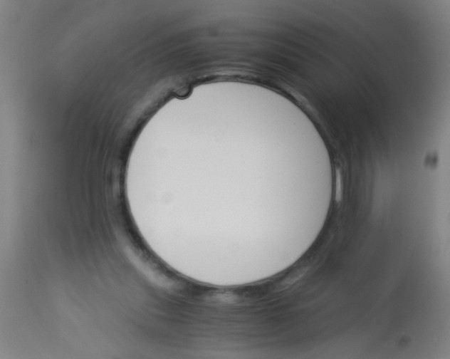 X0000113170253200910161314