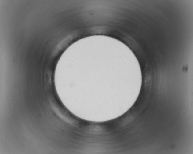 X0000113170254200910161314