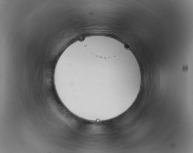 X0000113170255200910161314