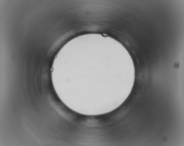 X0000113170256200910161314