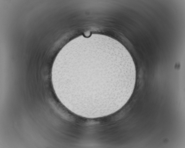 X0000113170257200910161314