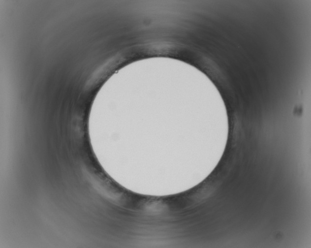 X0000113170258200910161314