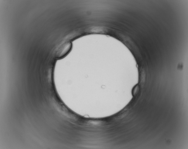 X0000113170260200910161314
