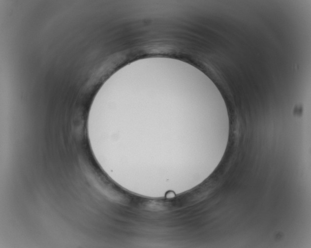 X0000113170261200910161314
