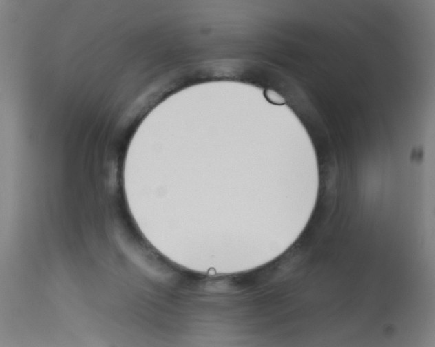X0000113170262200910161315