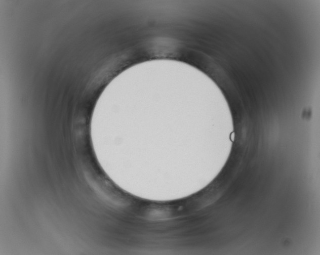 X0000113170263200910161315