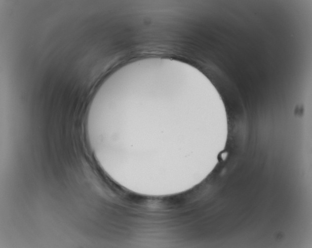 X0000113170264200910161315