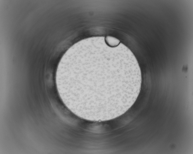 X0000113170267200910161315