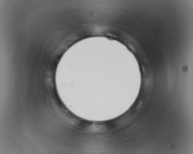 X0000113170270200910161315