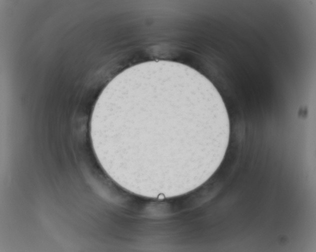 X0000113170271200910161315