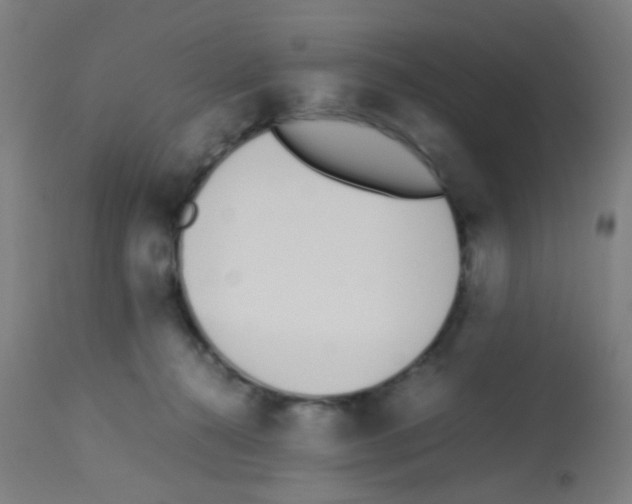 X0000113170272200910161315