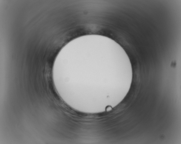 X0000113170274200910161315