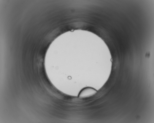 X0000113170279200910161315