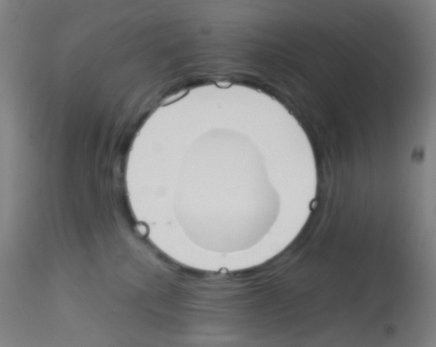 X0000113170280200910161315