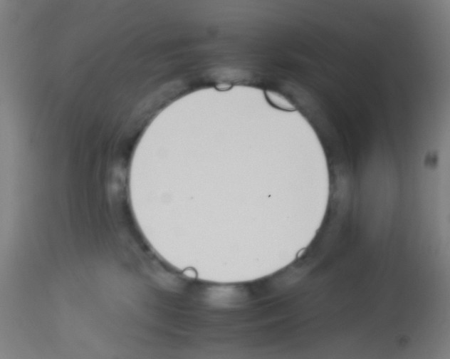 X0000113170281200910161315