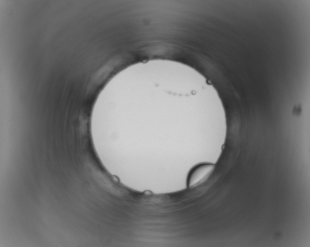 X0000113170282200910161315