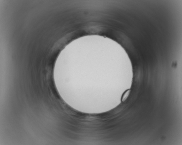 X0000113170283200910161315