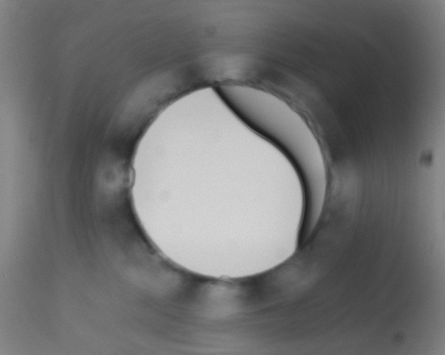 X0000113170284200910161315