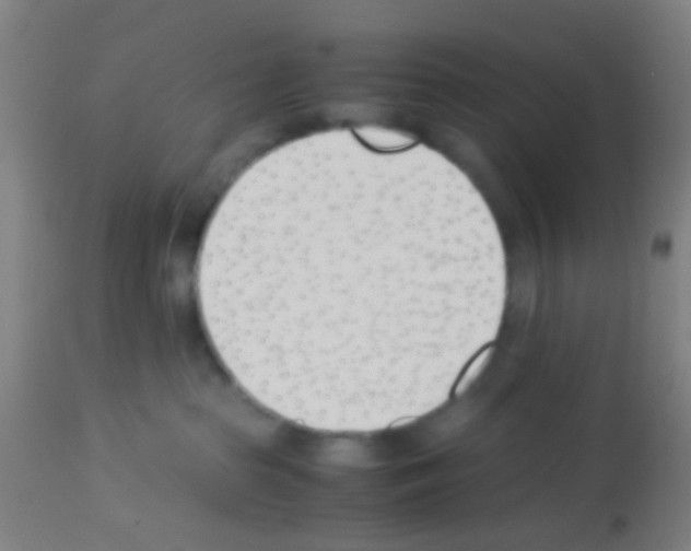 X0000113170285200910161315