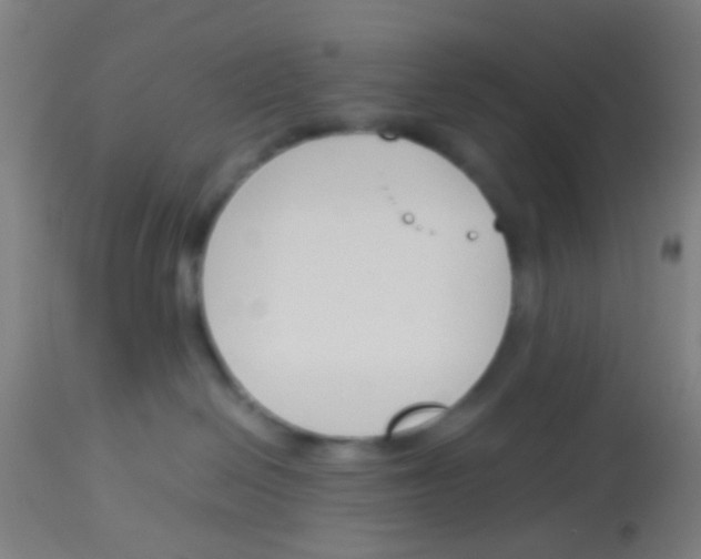 X0000113170286200910161315