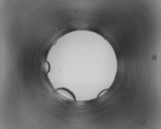 X0000113170287200910161315