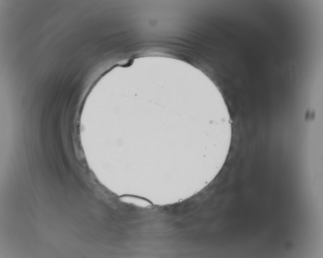 X0000113170289200910161314