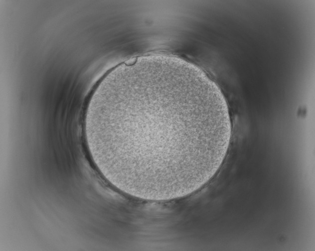 X0000113170290200910161314