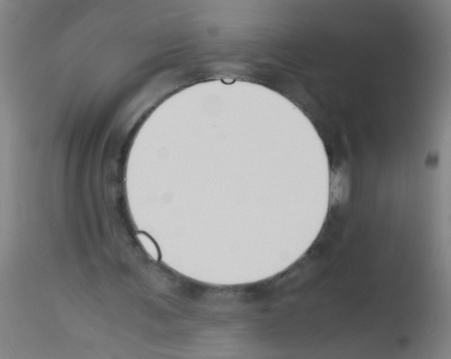 X0000113170291200910161314