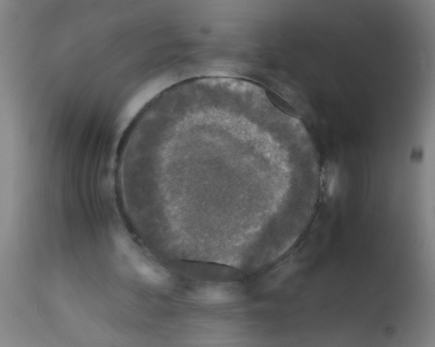 X0000113170292200910161314