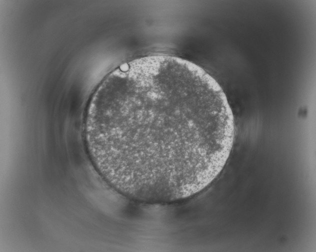 X0000113170293200910161314