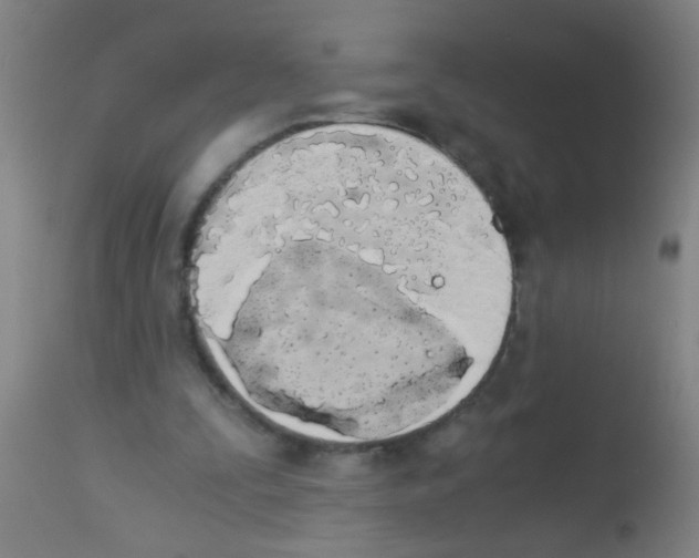 X0000113170295200910161314