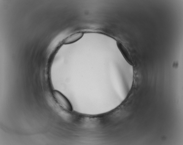 X0000113170296200910161314