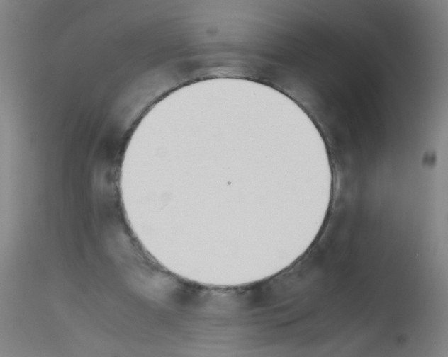 X0000113170297200910161314