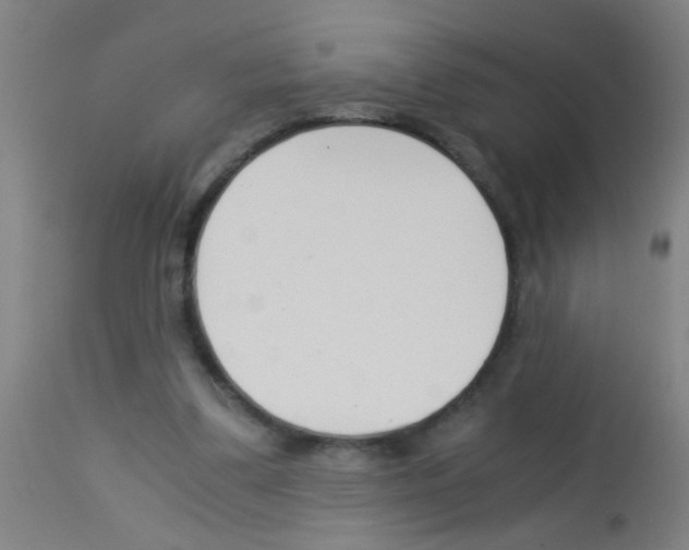 X0000113170299200910161314