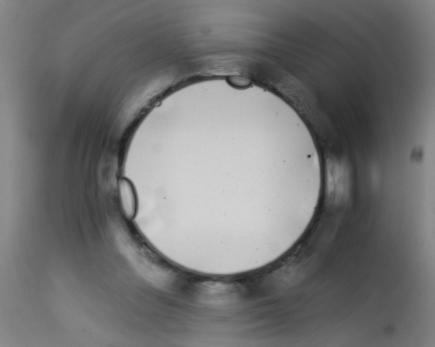 X0000113170300200910161314