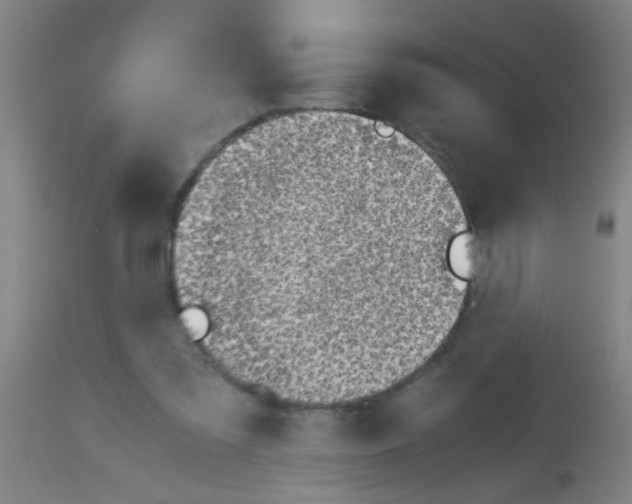 X0000113170301200910161314