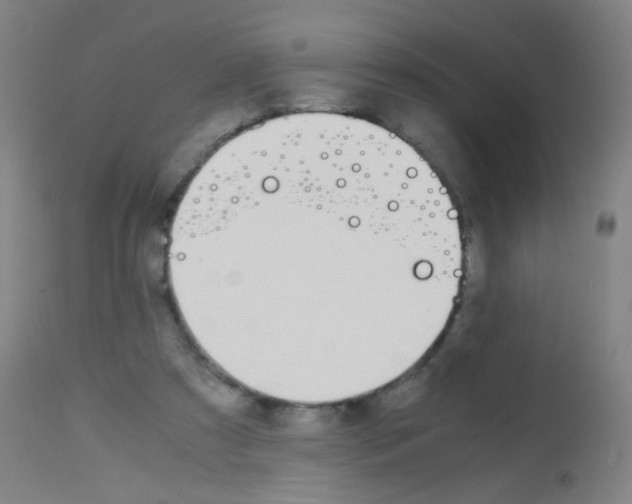 X0000113170305200910161314