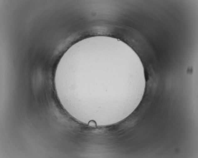 X0000113170306200910161314