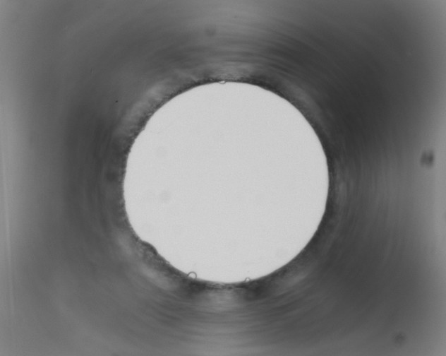 X0000113170307200910161314