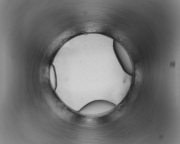 X0000113170308200910161314