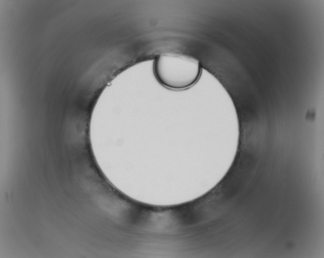 X0000113170309200910161314