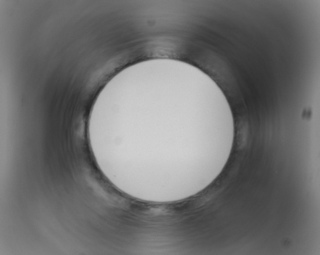 X0000113170310200910161314